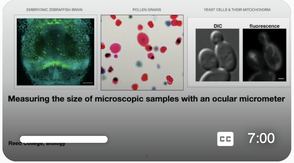 Ocular Micrometer Calibration thumbnail